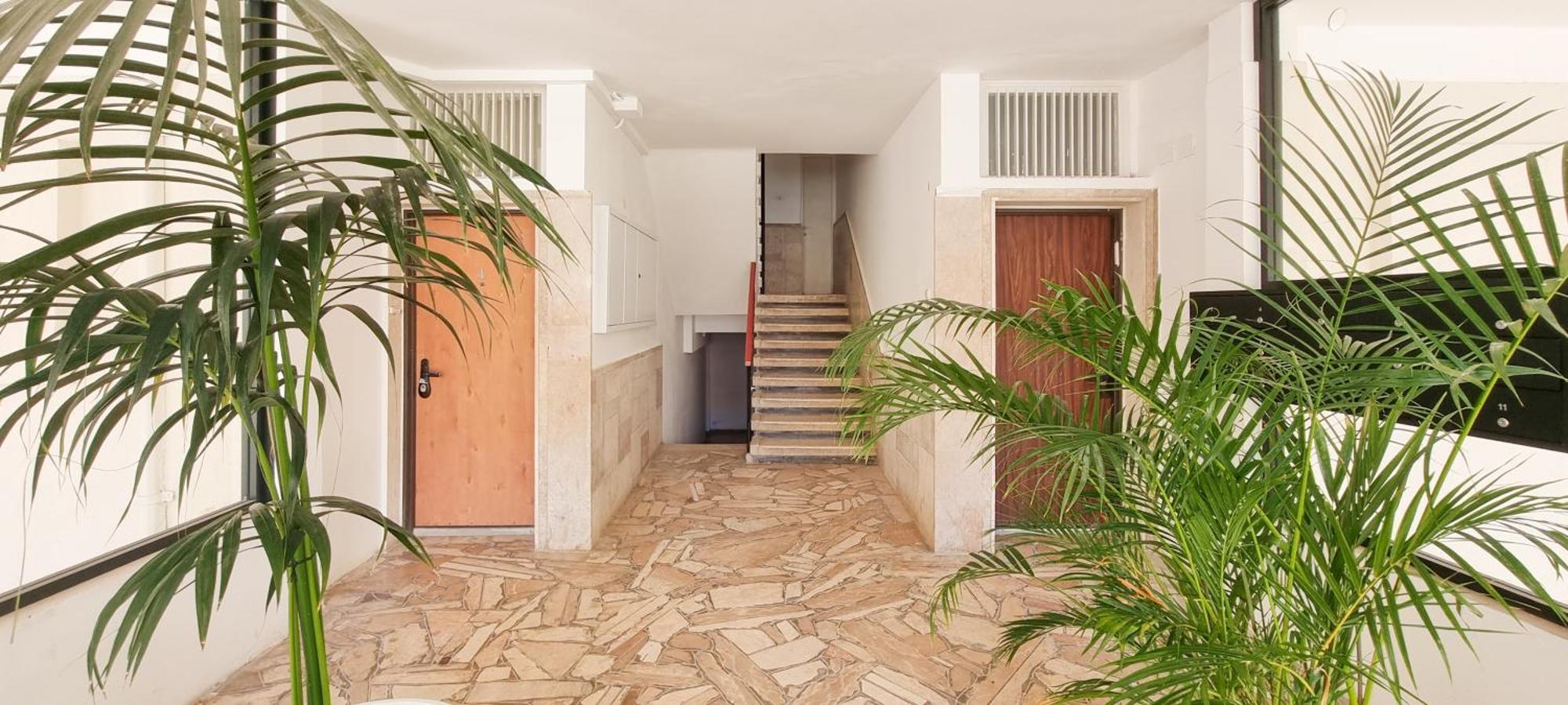 Bnb Israel Apartments - Harav Kook Lilas Tel Aviv Exteriör bild